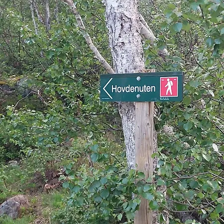 Unique By The Slope In Hovden (Aust-Agder)
